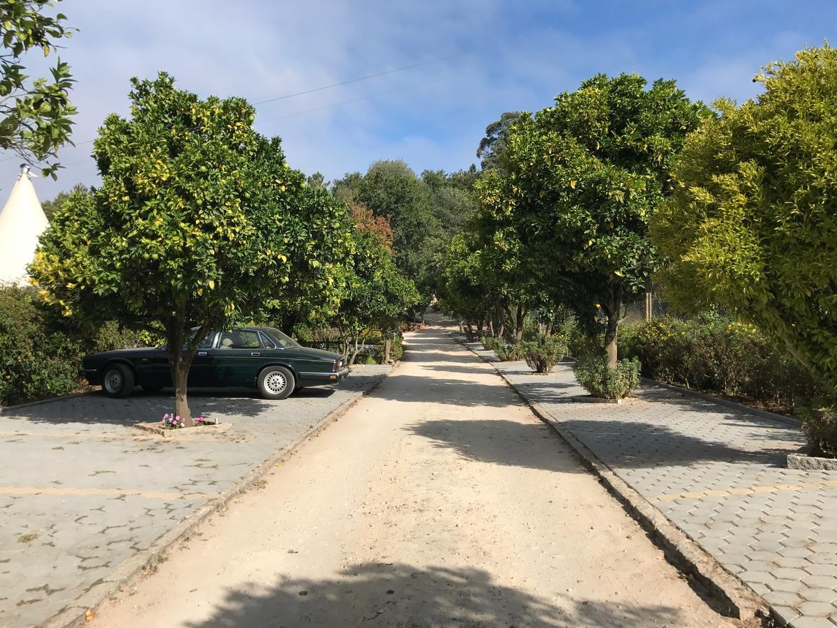 Quinta Da Fontoura Casa de hóspedes Alquerubim Exterior foto